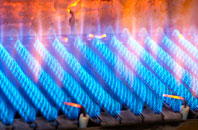 Alcaston gas fired boilers